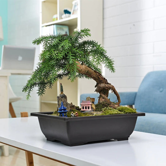 Landscape Planter With Tray