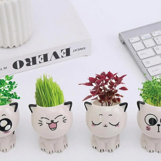 Ceramic Cat planter