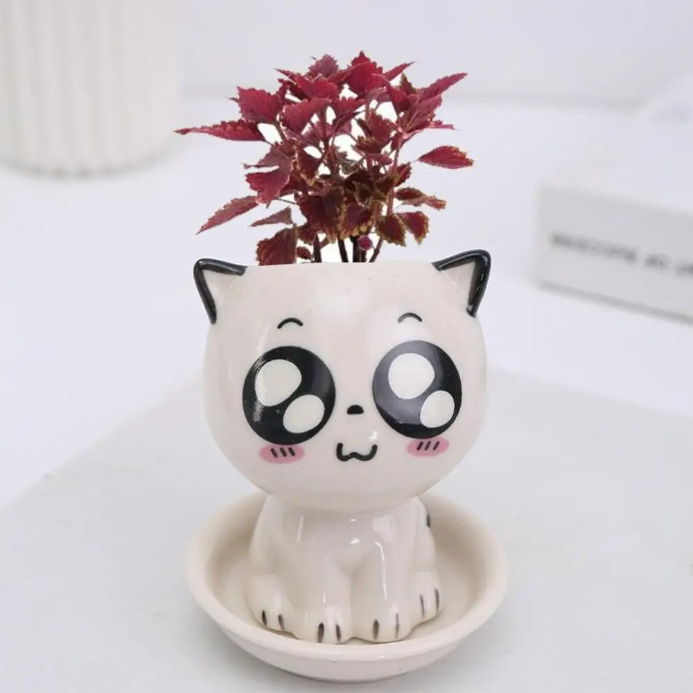 Ceramic Cat planter